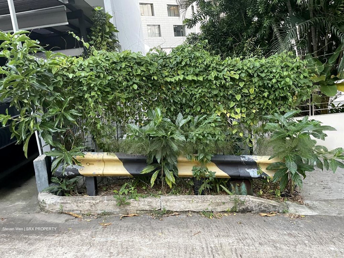 Niven Road (D9), Terrace #478590231